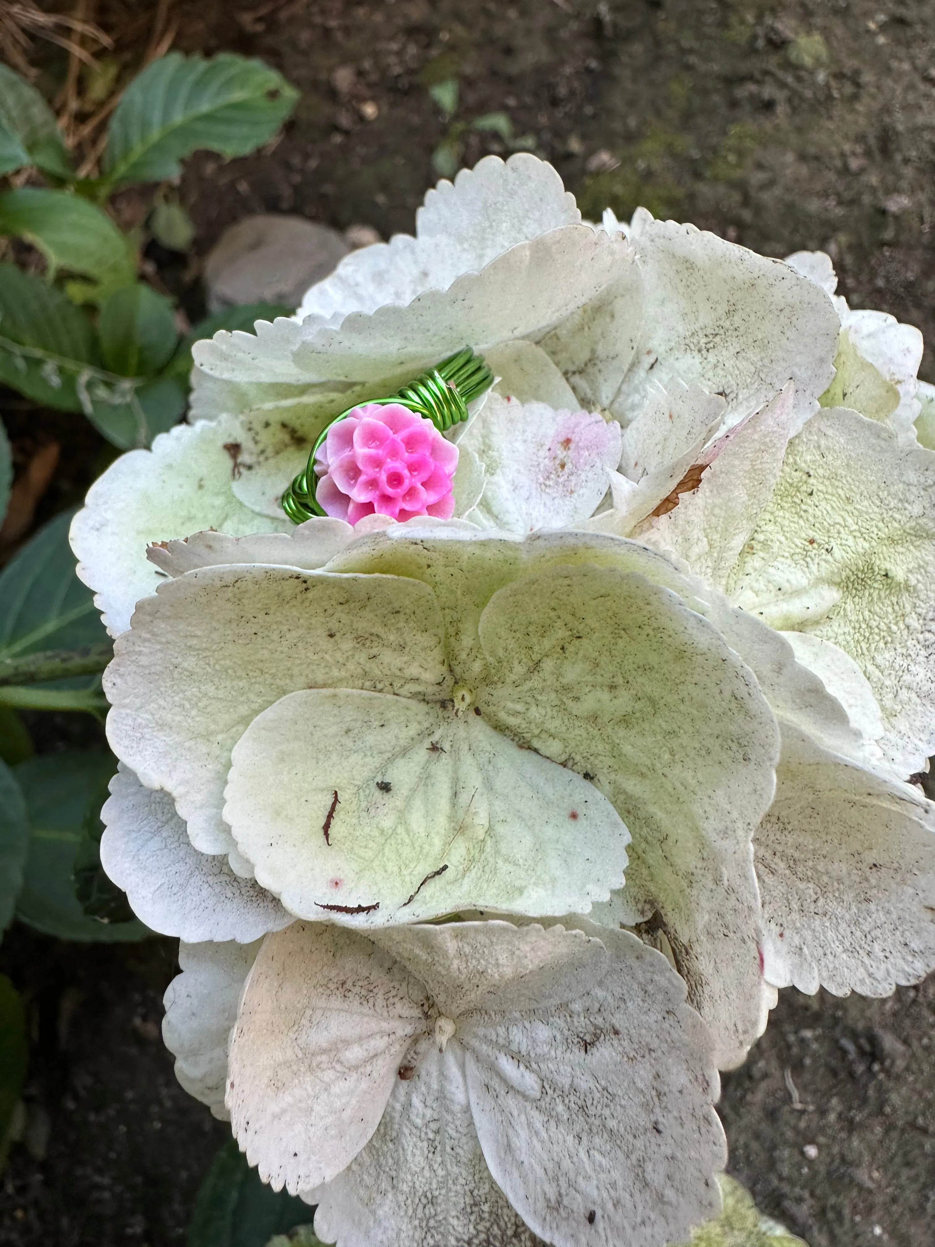 hydrangea rings!