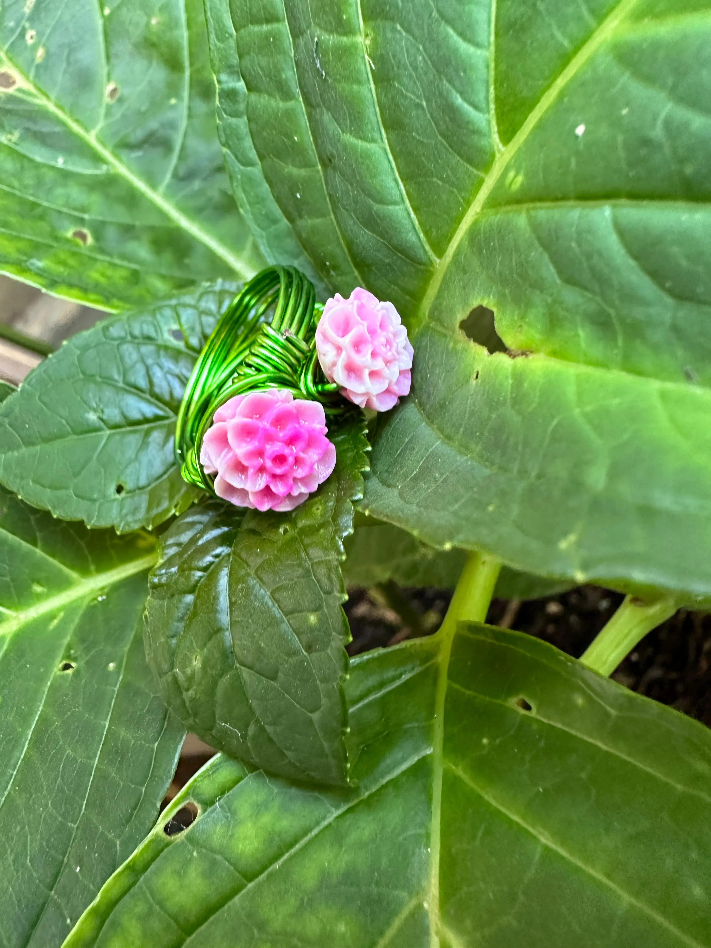 hydrangea rings!