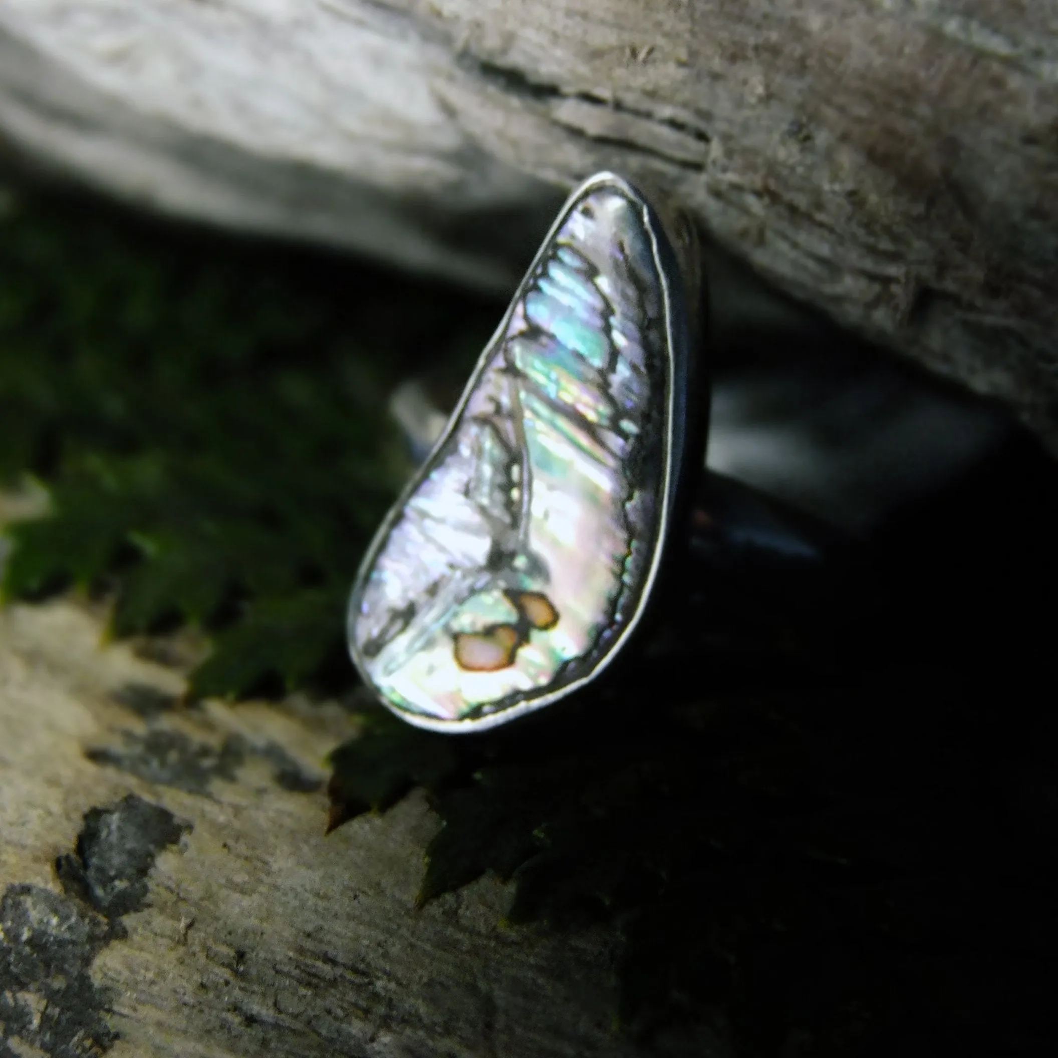 Paua Sterling Silver Ring