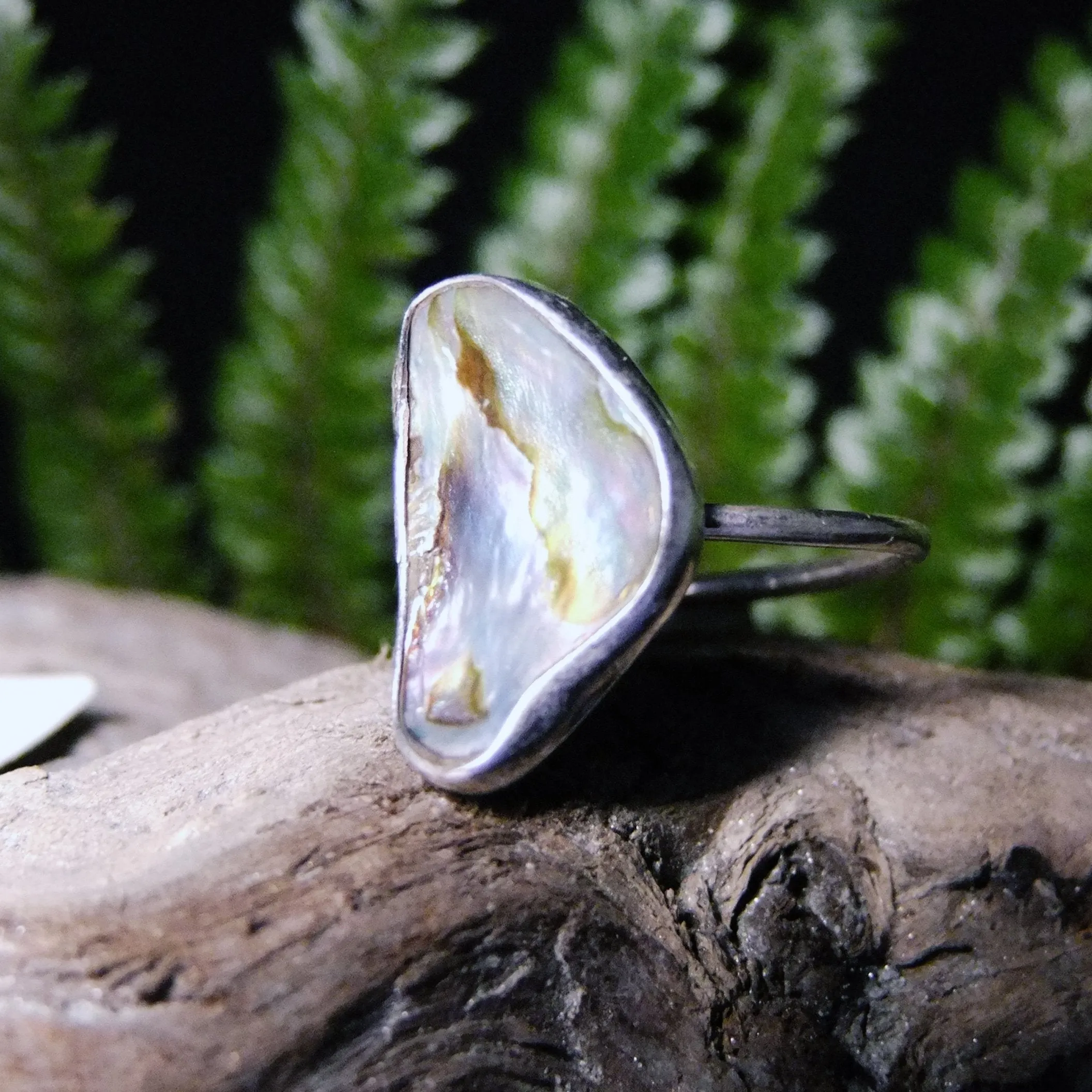 Paua Sterling Silver Ring