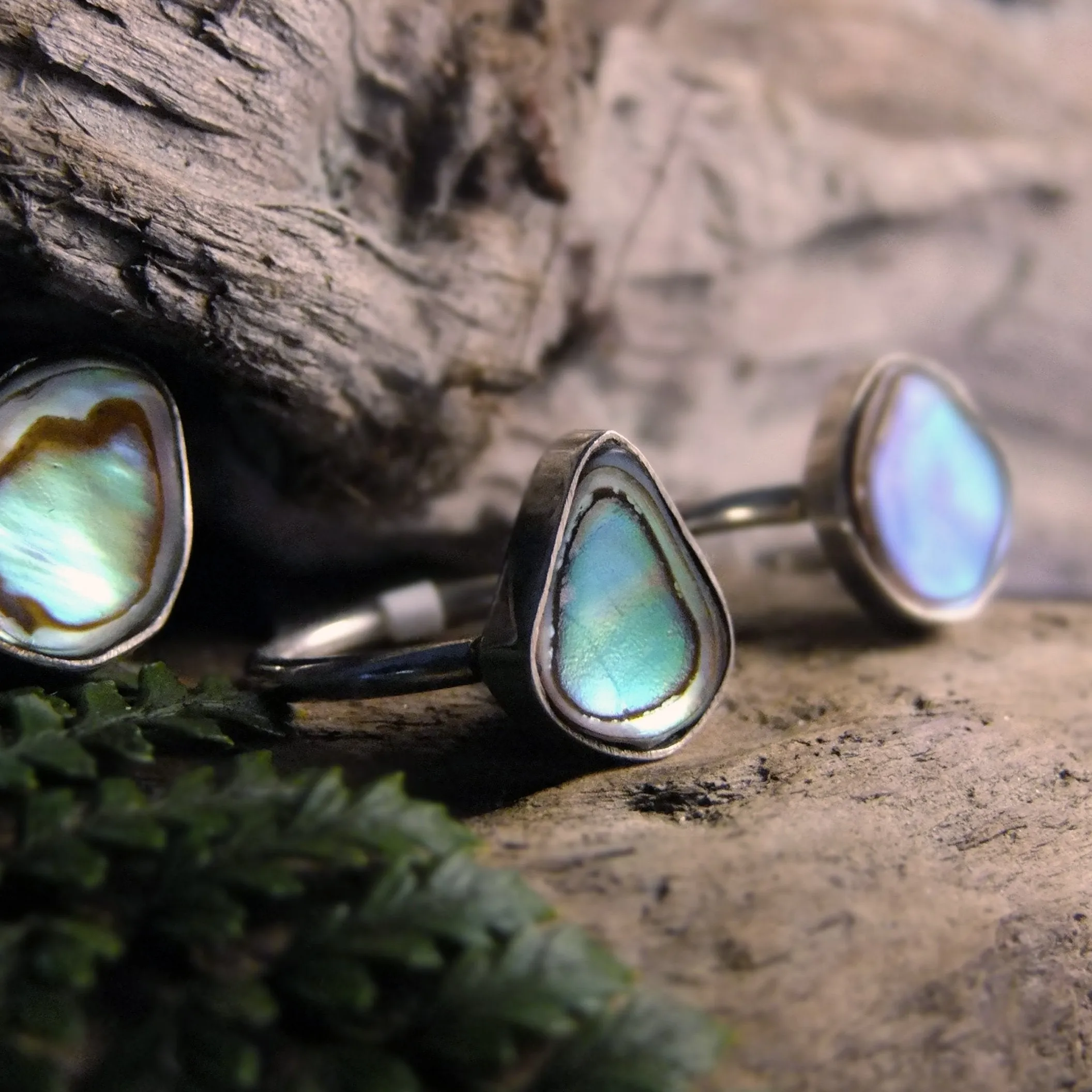 Paua Sterling Silver Ring