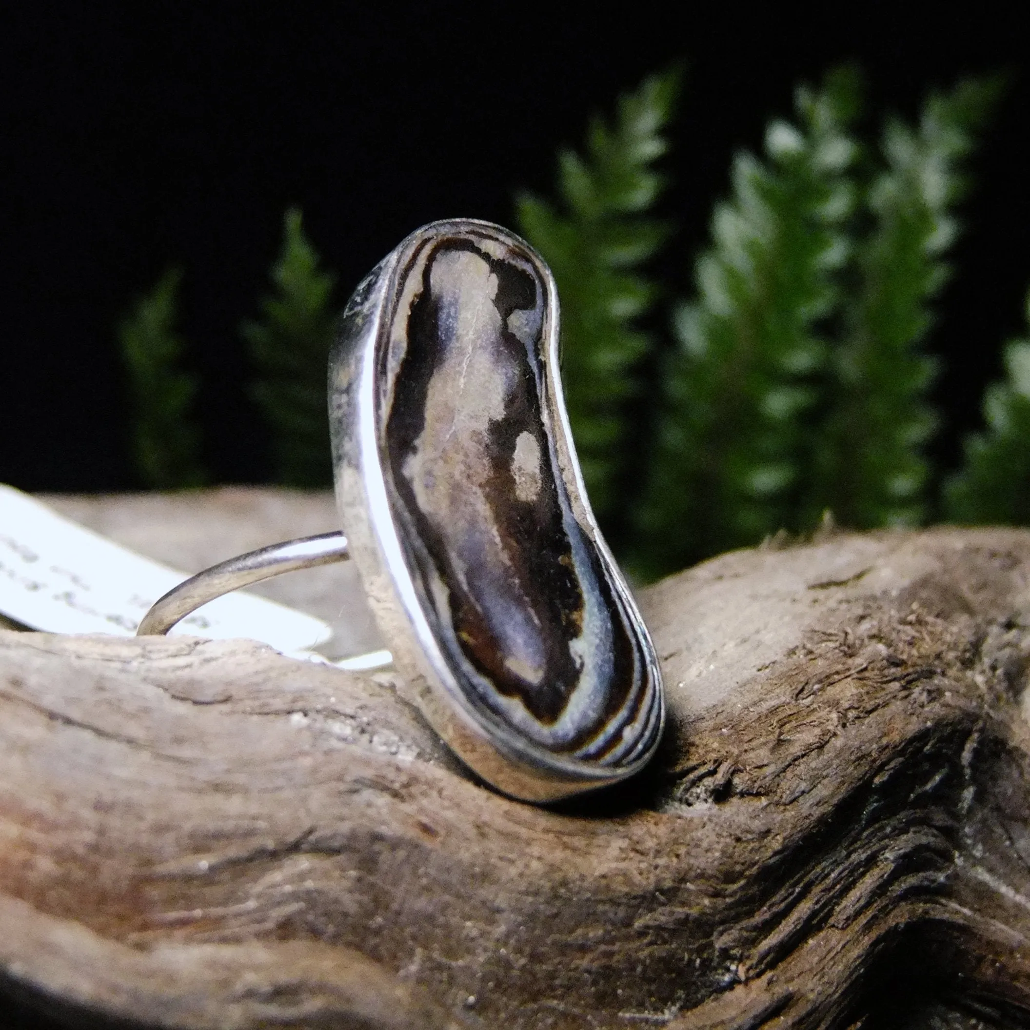 Paua Sterling Silver Ring