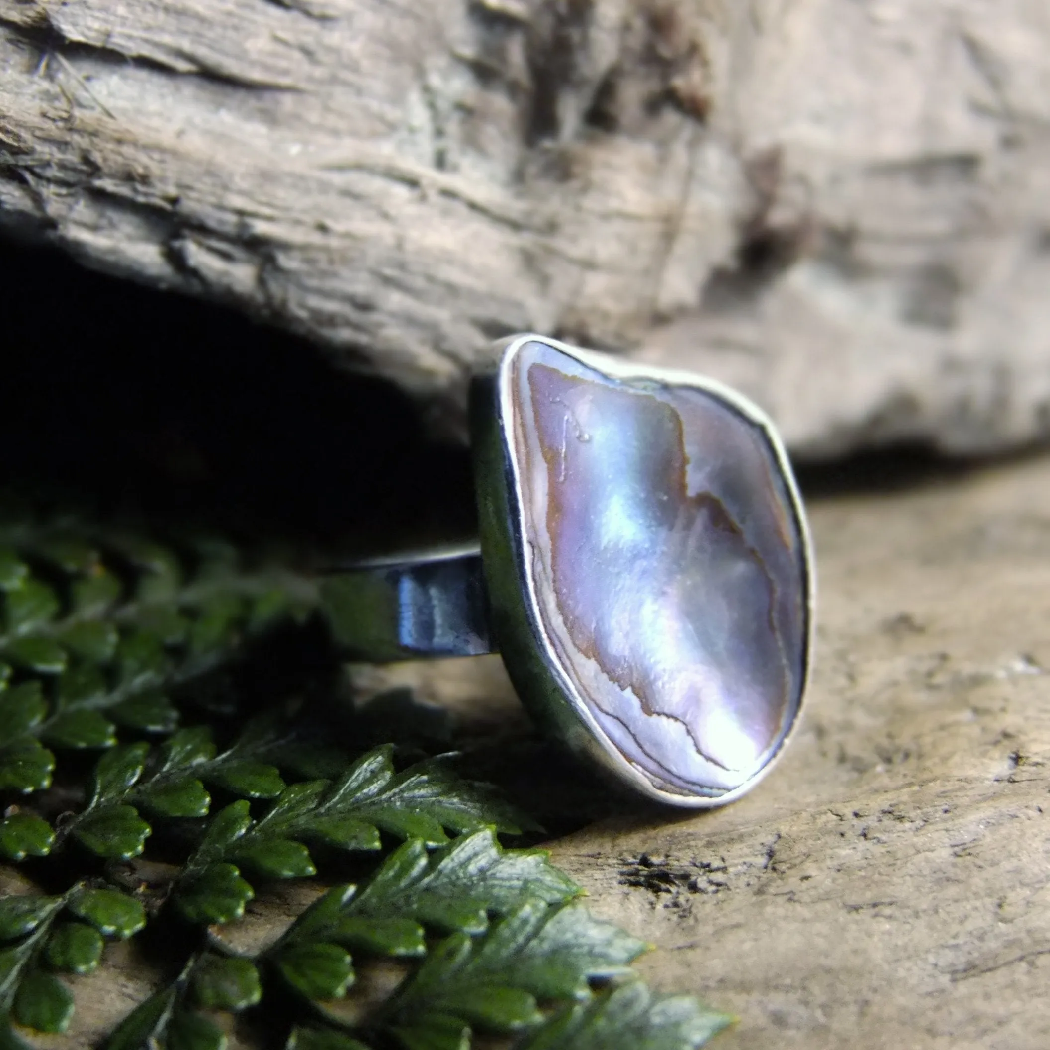 Paua Sterling Silver Ring