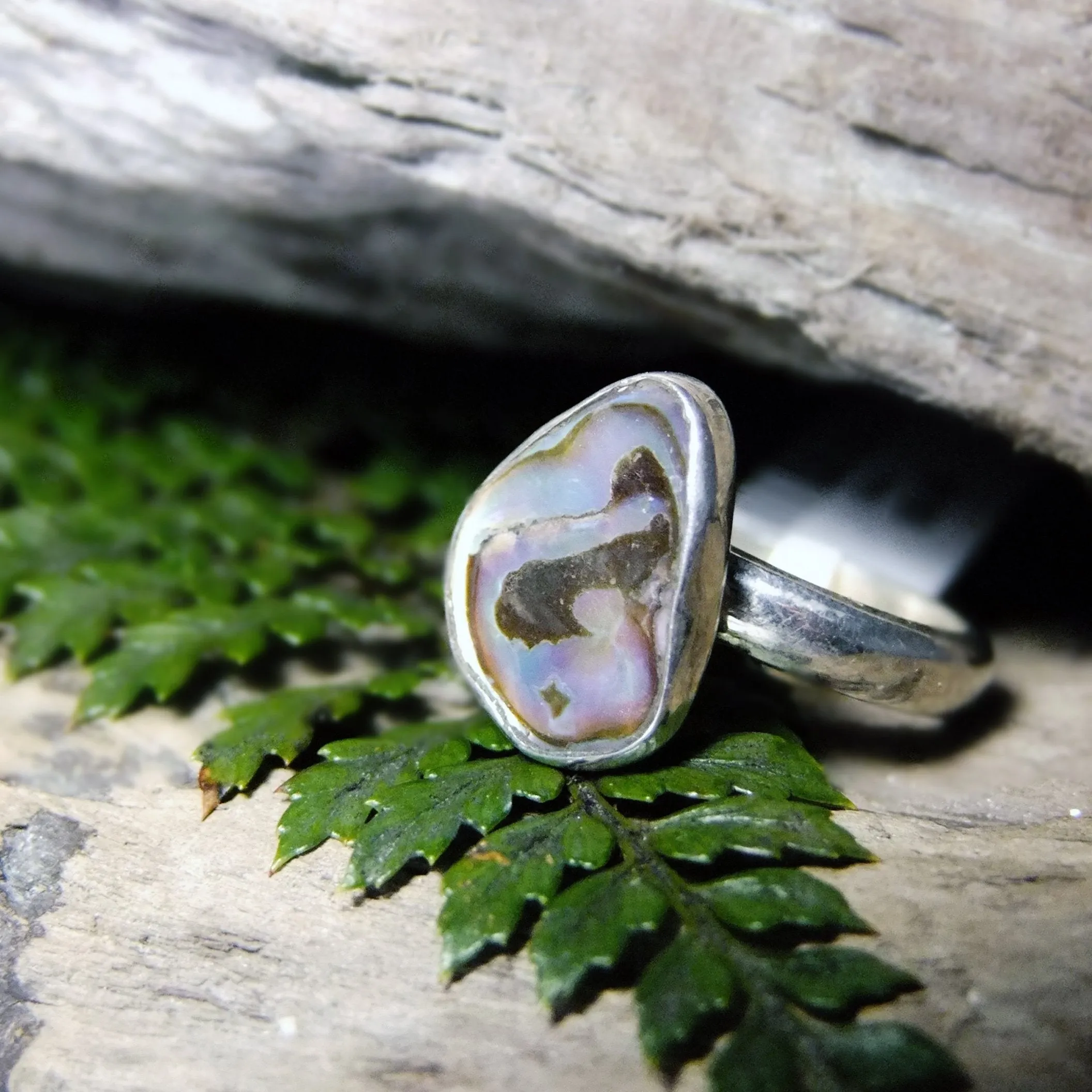 Paua Sterling Silver Ring